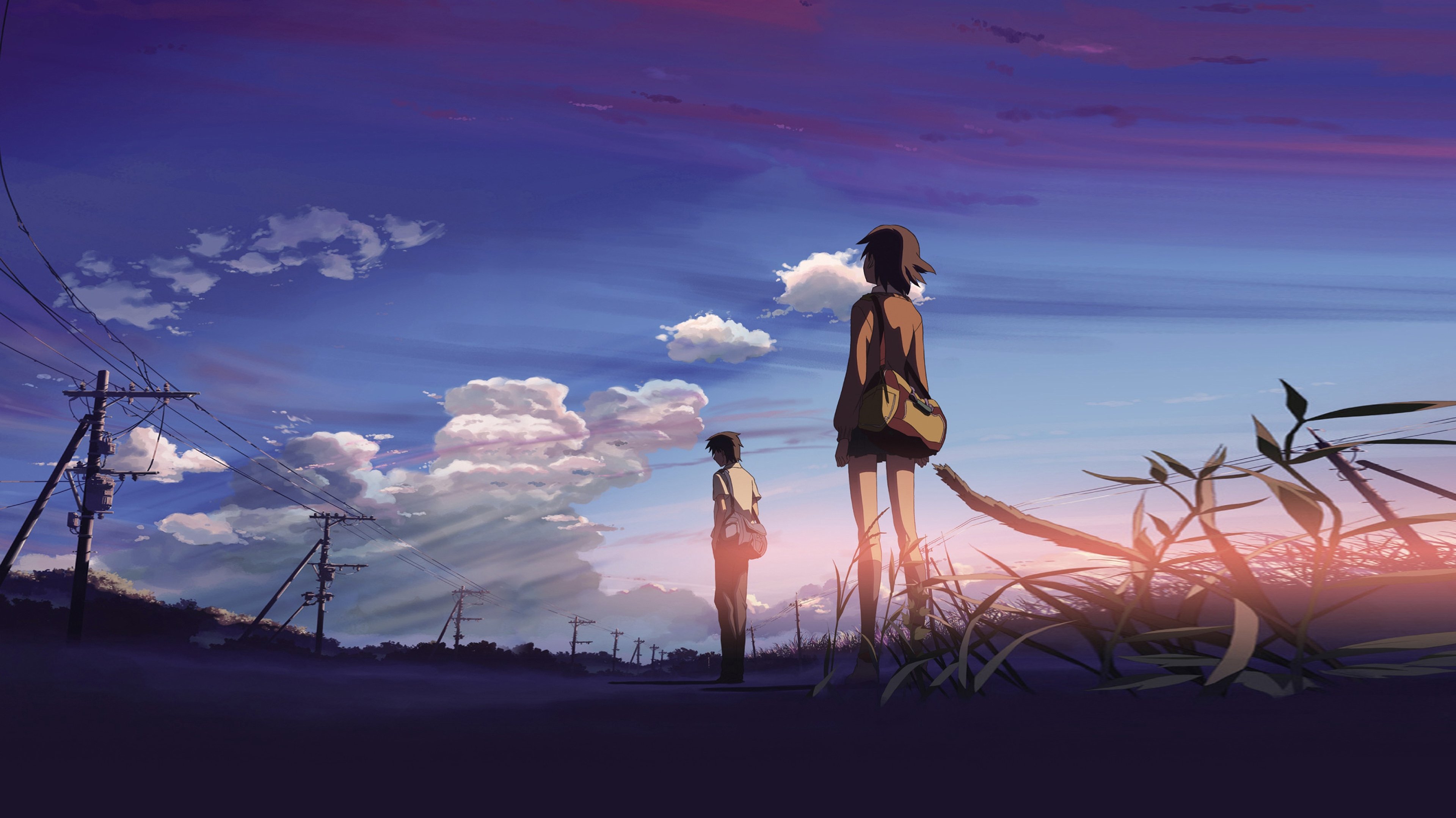 5 Centimeters per Second